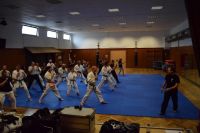 Bild (13)